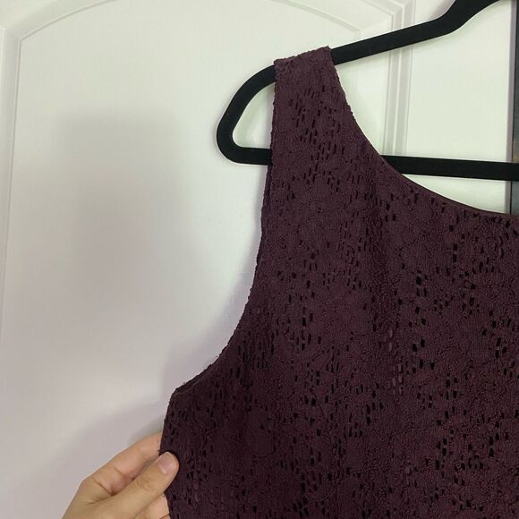 Coldwater Creek Deep Wine Lace Mini Dress Zipper Back, Feminine, Elegant size 16 - Picture 5 of 12